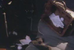 The back seat of a car, there is an open briefcase with papers falling out.
