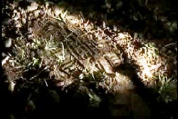 A boots footprint in mud