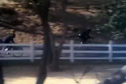 Two men riding down a road with a white picket fence on bicycles