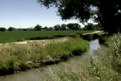 A small river next to Fallon, Nevada
