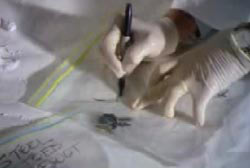 An invesitgator writting on a clearn bag containing Brocks' keys