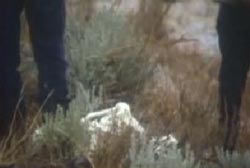 Two police investigators looking down on Don's body in a patch of grass