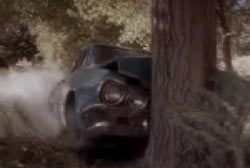 Blue car crashed into a tree