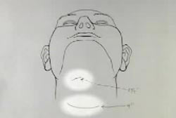 a drawn daigram showing knife wounds on Leroy's neck