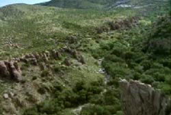 The natural, green hilly landscape outside of Carson City, Nevada