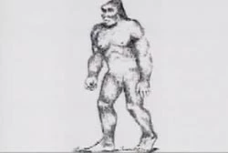 A pencil drawing of Big Foot.